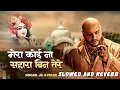 Download Lagu Mera Koi Na Sahara Bin Tere - Slowed And Reverb - B Praak -  New Bhajan Lofi Mix