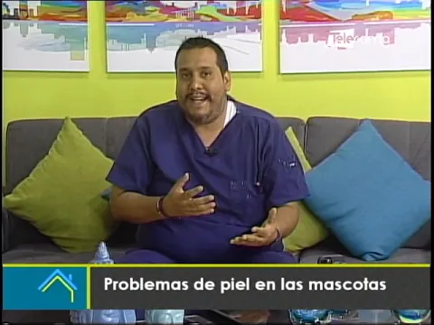Problemas de piel en las mascotas