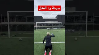 تدريب حراس المرمى  تدريب حراس المرمى
