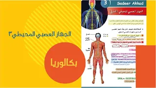 درس الجهاز العصبي المحيطي الطرفي 3 علوم بكالوريا 
