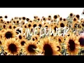 Post Malone Swae Lee - Sunflower Seth G Daniel D Violin Remix