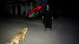 7 असली भूतिया वीडियोज़ | Asli Bhoot | 7 Ghost Videos Compilation