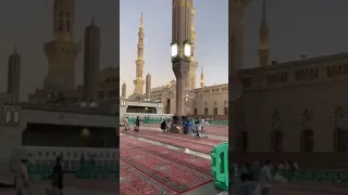 فيا حب فيا وجد اناشيد اسلاميه 