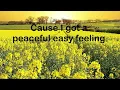 Peaceful easy feeling, Eagles ( Lyrics )