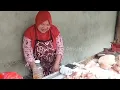 Download Lagu Suasana Pagi Hari Di Pasar Wotgalih Nglipar Gunungkidul.