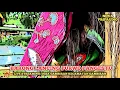 Download Lagu LIVE 🇮🇩 SENI BARONG PURWO PANGESTU | NOVA AUDIO | GAMBIRAN
