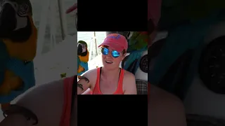 #travel #wildlife #sailing #macaw @Pirate_Parrots