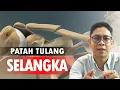 Download Lagu APA ITU TULANG CLAVICLE / SELANGKA? - CARA REHABILITASI CEDERA