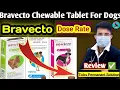 Bravecto Chewable Tablets Dogs Ticks Solution Dog Ticks Treatment Tick Fleas Manges
