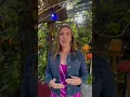 Cari discusses why the V-FR Fractional Radio Frequency treatment is her favorite service