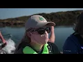 Introducing the Bliss Island Nature Preserve