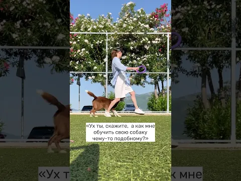 Единственный совет