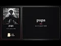 나토리 - pupa (퓨파) 가사/발음/해석