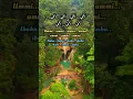 Download Lagu SYAIR UMMI
