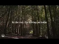 Shinedown - Second Chance | (lyrics)