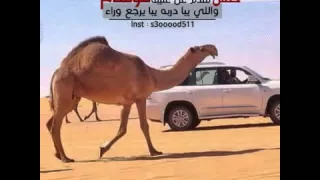 اجهر بصوتك يا مهنا ماتلام دندنها