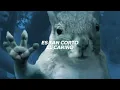 "Amor, es tan corto el cariño" | Los Vaguens - California (Letra) 🐿️