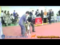 2017 KKF Dog Show-Boxer