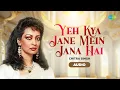 Lagu Yeh Kya Jaane Mein Jana Hai | Audio | Chitra Singh | Jagjit Singh