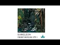 Download Lagu DJ Kameleon - Relaxing Deep House Mix to Study and Chill