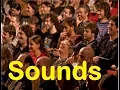 Download Lagu Crowd Laughing Sound Effects All Sounds