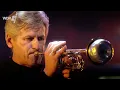 Henry Mancini - Royal Blue | WDR BIG BAND