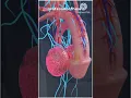 Download Lagu testicles ,is so,much painful 3d animation video
