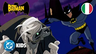 Il Mostro della Palude della notte di Halloween! 🎃🧟♂️ | The Batman ⭐️ EPISODIO COMPLETO ⭐️