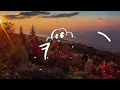 Sam Fender - Arm's Length (Lyrics)