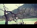 Download Lagu Ipank lah taluko