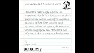 nqontsonqa ndakukuthanda ft zimkitha kweza