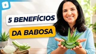 Benefícios da Babosa