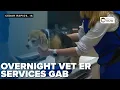 Eastern Iowa faces gaps in overnight pet emergency services