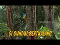Lagu [FULL] SI GUNDUL BERTUALANG, MASAK OLAHAN UNIK DAN LEZAT | JEJAK SI GUNDUL (17/01/24)