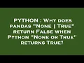 PYTHON Why does pandas None True return False when Python None or True returns True