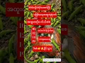 Download Lagu #2d #2dshow