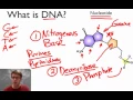 What is DNA