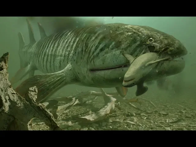 background images