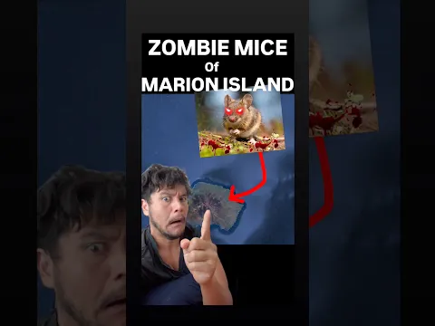 The ZOMBIE MICE of MARION ISLAND