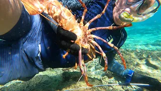 How we caught, Fish, Lobster!!! Living it up at the Abrolhos Islands.