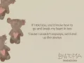 Beabadoobee - the perfect pair (Lyrics)