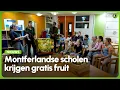 Download Lagu Dankzij oud-kinderburgemeester krijgen Montferlandse basisschoolleerlingen gratis fruit