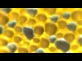 Sculpsure Dr Sean Simon Plastic Surgery in Miami Florida