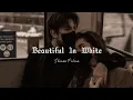 Download Lagu Beautiful In White, speed up (Lirik) ~ Shane Filan