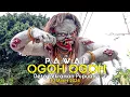 Lagu Pawai Ogoh Ogoh Desa Pekraman Pupuan Tahun 2024 || Cover Mocha Band