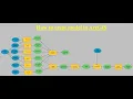 Introduction to ArcGIS Model Builder