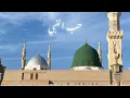 Download Lagu HUBBI NABI - Cover lirik terjemah || Diyana Qomariah 💚