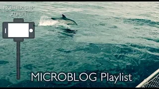 Sailing Away on our Sea Travels Again – Goodbye Lefkas – Hello Dolphins!