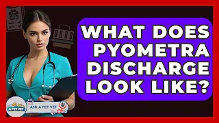 What Does Pyometra Discharge Look Like - Ask A Pet Vet