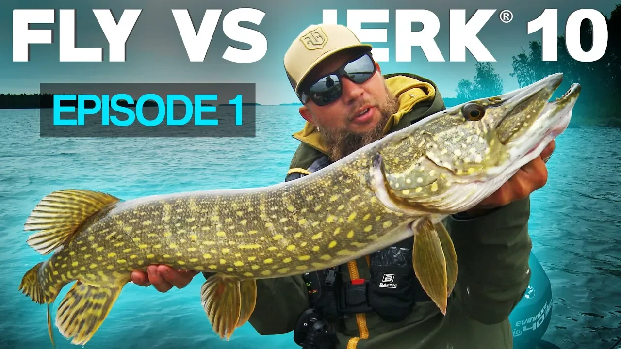 video Fly vs Jerk 10 - Reality pike fishing competition